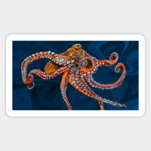 Pacific Octopus Sticker